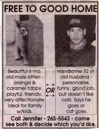 ad for cat or hubby