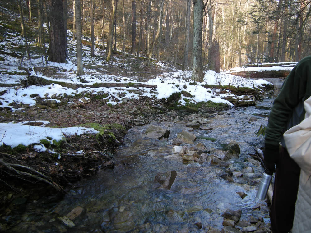 crossing over the creek