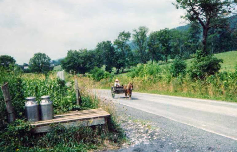 little Amish buggy