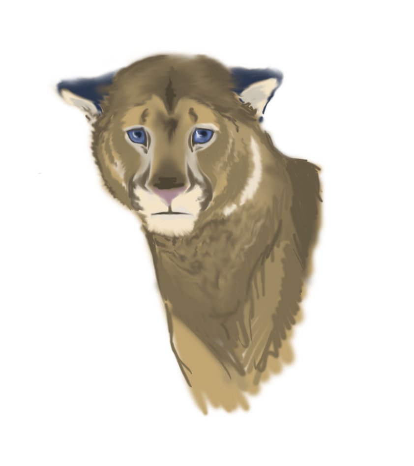 sad cougar