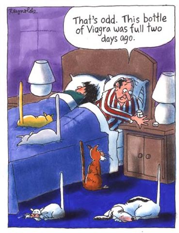 viagra cats